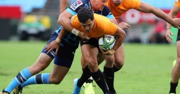 Súper Rugby: Jaguares vencieron a Bull y están al acecho en la tabla