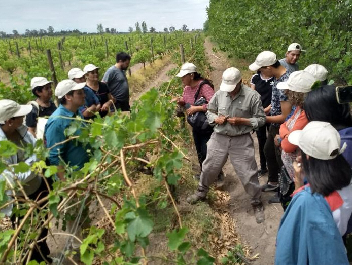 Capacitación en injertos