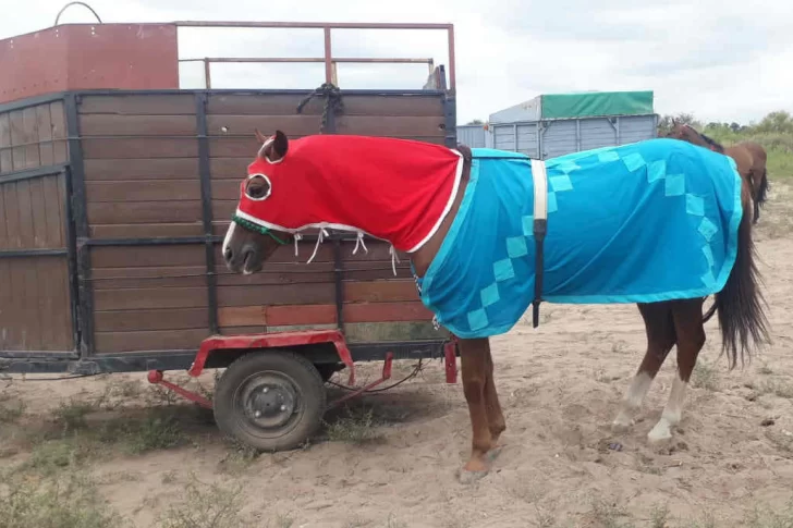 Una carrera ilegal de caballos