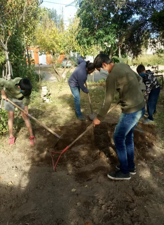 Los chicos de la escuela albergue que, aun en su casa, siguieron hasta criando gallinas