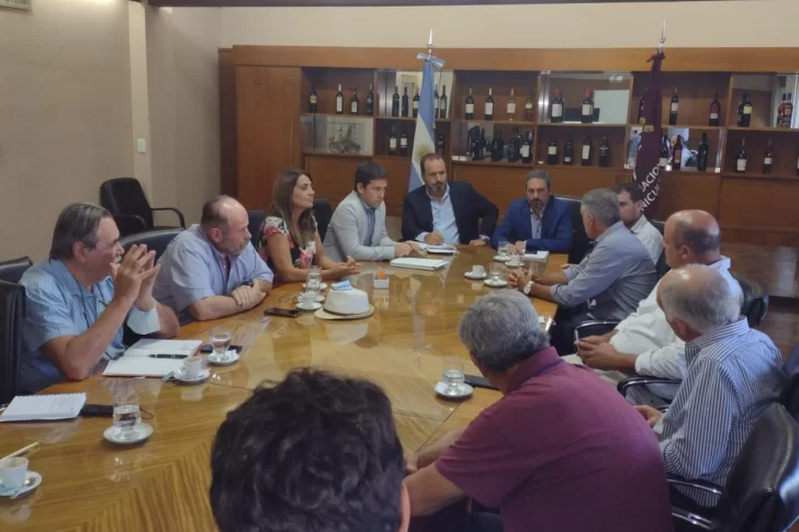 Bodegueros no fueron a reunión por precio de la uva y se demoran las definiciones