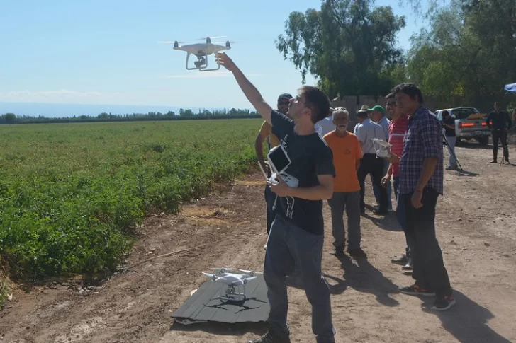 Aplican el uso de drones en la agricultura