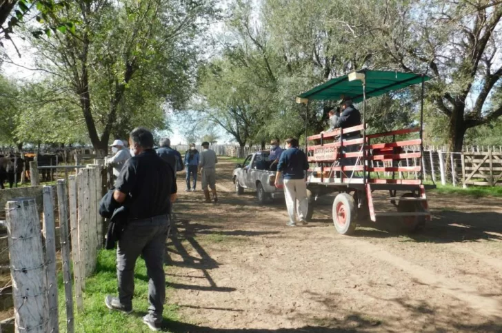 Salliqueló pasó de 0 casos a tener más del 15% del pueblo contagiado