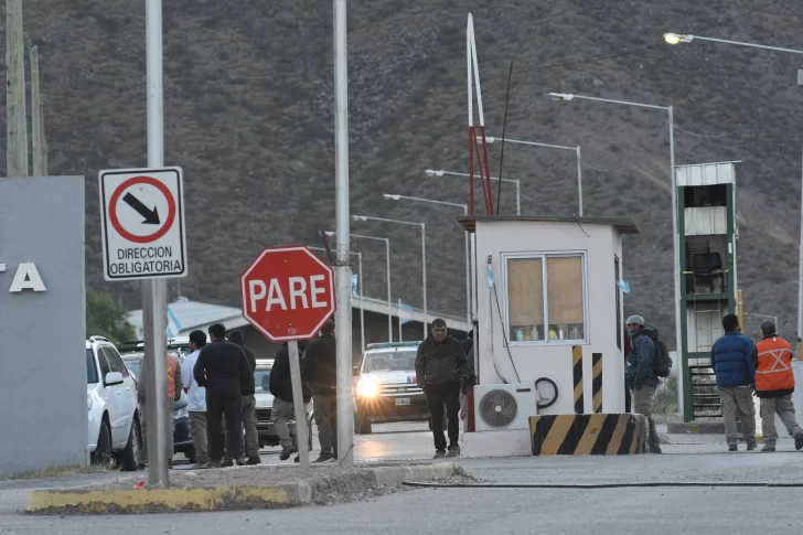 Ambiente propone que en los municipios instalen centros de rehabilitación para perros