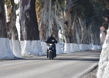 Pareja ganó un juicio luego de sufrir heridas al chocar en moto por la caída de una rama