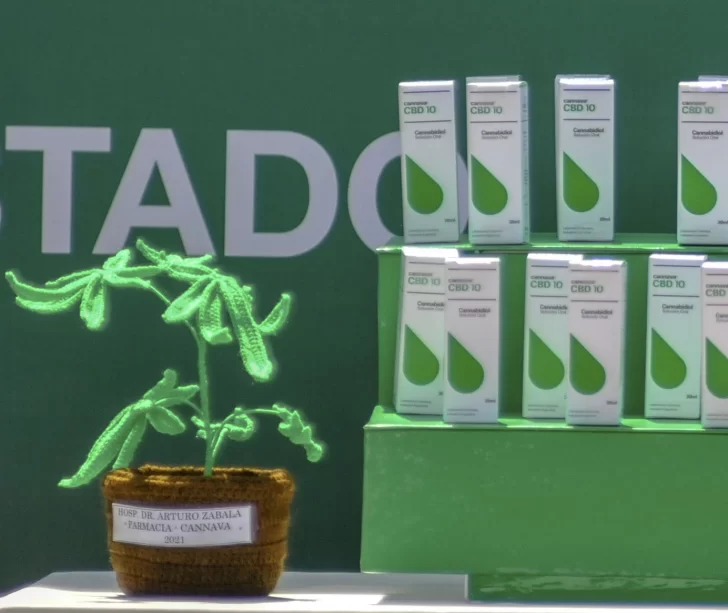 Cannabis: Jujuy entrega aceite