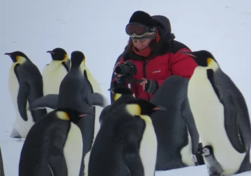 El cambio climático afecta a unos pingüinos en la Antártida