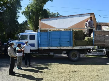 Continua la entrega de fardos de pasto a ganaderos de Valle Fértil