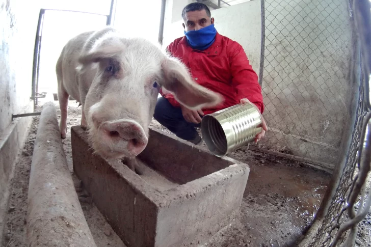 El trabajo silencioso de las agrotécnicas para no perder la producción de un año