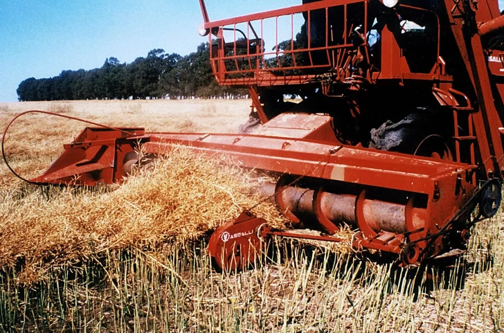 Paro del campo: “No habrá suba de precio ni desabastecimiento”, dicen