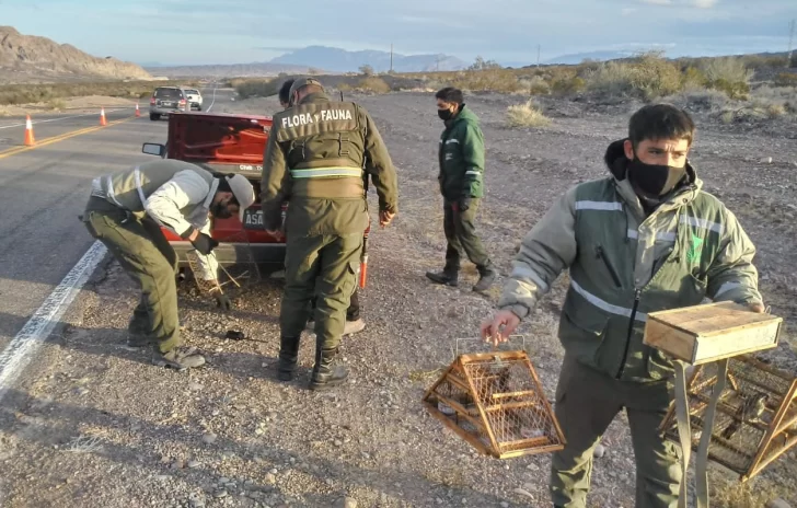 En lo que va del año hubo más ataques a la flora y la fauna que en todo 2019