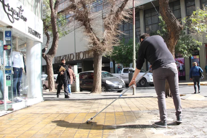 Con un novedoso método de inyecciones, buscarán terminar con la peste de las tipas