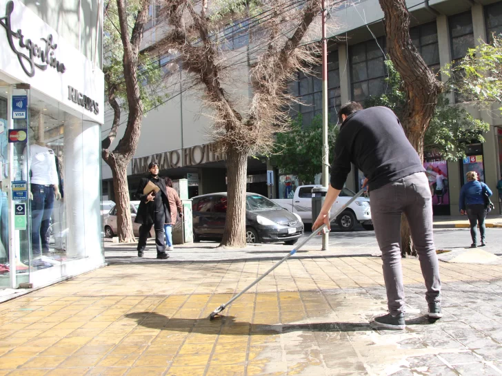 Con un novedoso método de inyecciones, buscarán terminar con la peste de las tipas