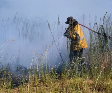 Incendios: tras la polémica entre Nación y Corrientes, Cabandié mandó a un secretario