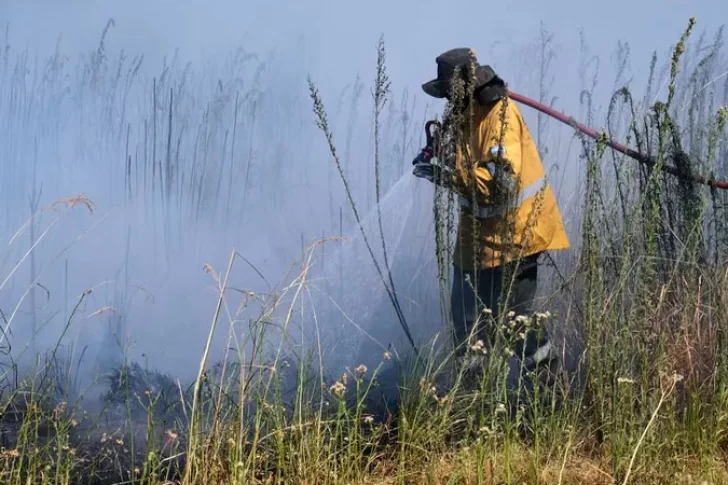 Incendios: tras la polémica entre Nación y Corrientes, Cabandié mandó a un secretario