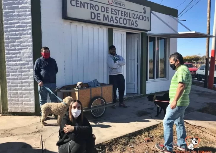 Dos municipios vuelven a esterilizar perros y gatos