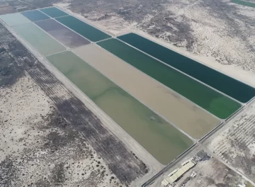 Planean una ley para usar los líquidos cloacales tratados para el riego agrícola