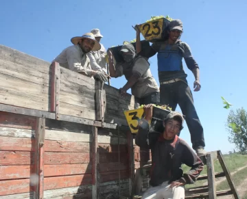 Un cambio legal da por terminado un viejo reclamo de cosechadores temporarios