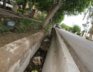 Unas 200 familias se quejan por el olor nauseabundo que sale de las acequias