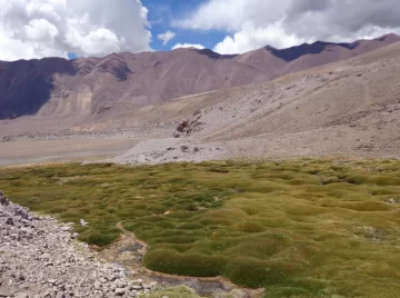 Toma impulso proyecto de humedales que inquieta al Gobierno y empresarios