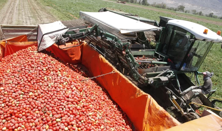 A 7 meses esperan que vuelvan los vuelos para confirmar el Congreso del Tomate