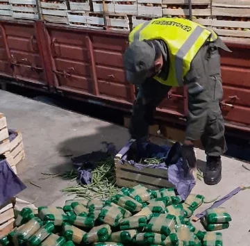 Hallan millonaria carga de coca