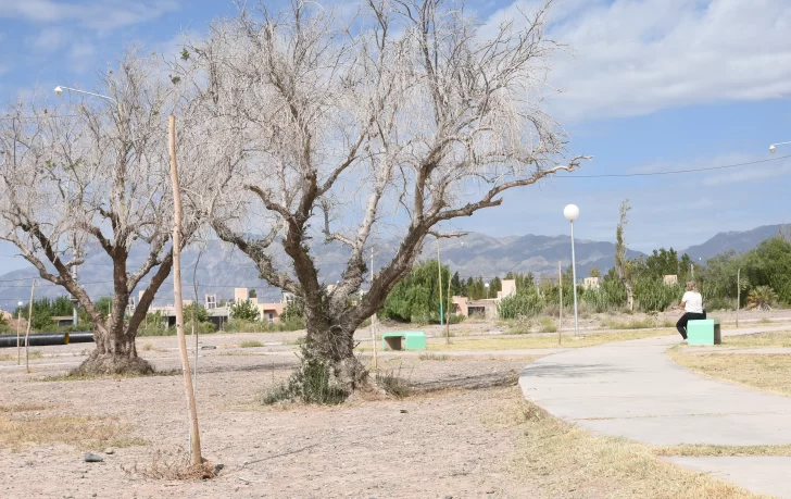 Vecinos reclaman que las plazas de un barrio parecen abandonadas desde hace 4 años