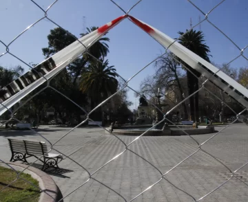 Aseguran que no talarán ningún árbol en las refacciones que harán en la Plaza 25