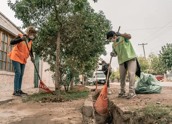 Aparecieron los mosquitos y empiezan a prevenir el dengue hasta en los edificios