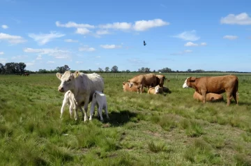 La batalla clave por el quórum del Senado se definiría en La Pampa