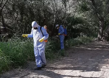 Encaran fuerte limpieza en la Quebrada de Zonda