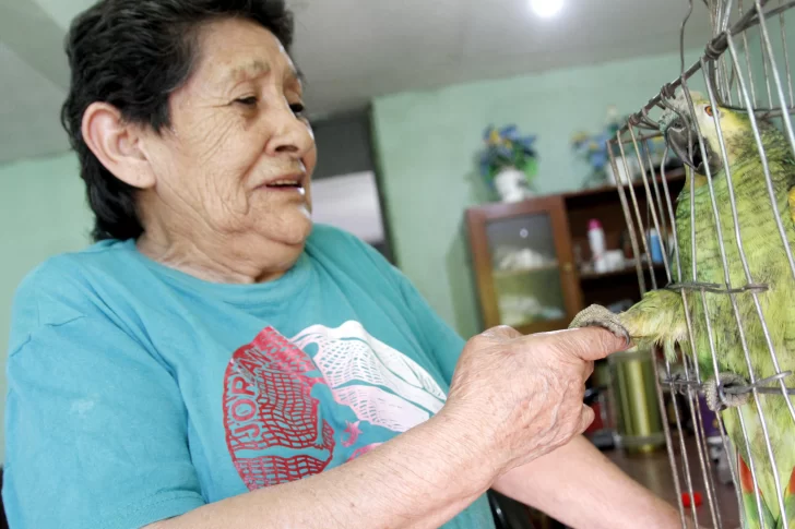 Le robaron su loro, luego de 15 días lo recuperó y gracias a eso volvió a reir