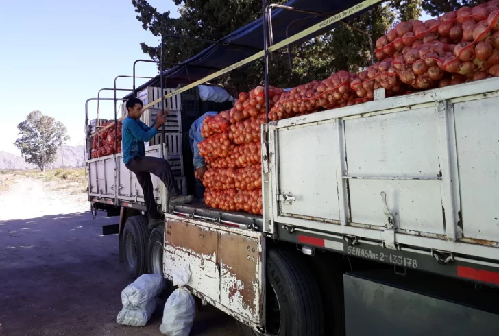 Hay crisis con la cebolla, un cultivo que está entre los cinco primeros