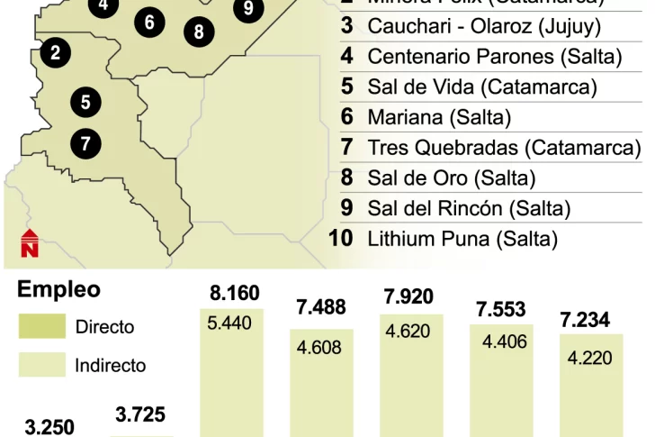 Diez proyectos para que el país se suba al podio mundial de la producción de litio