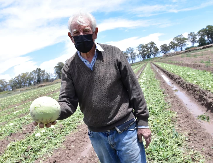 Más de 100 denuncias por daños del granizo en cultivos