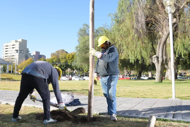 Para mayor seguridad, mejorarán y aumentarán la iluminación de una manzana clave de la Ciudad