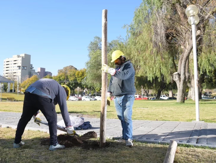 Para mayor seguridad, mejorarán y aumentarán la iluminación de una manzana clave de la Ciudad