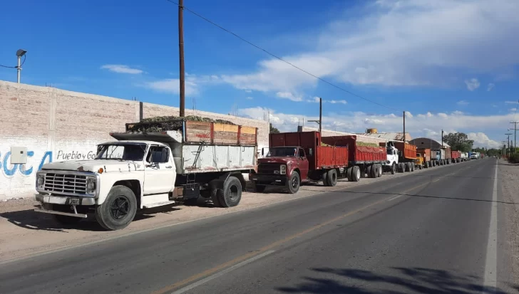 Para acordar un precio de la uva ponen plata y bajan tasa de créditos al sector