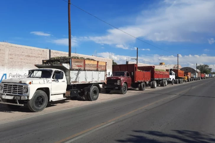 Para acordar un precio de la uva ponen plata y bajan tasa de créditos al sector