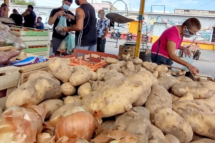 El precio de las verduras subió por efecto del clima y se habla de más incrementos