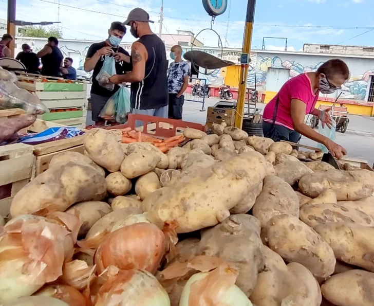 El precio de las verduras subió por efecto del clima y se habla de más incrementos