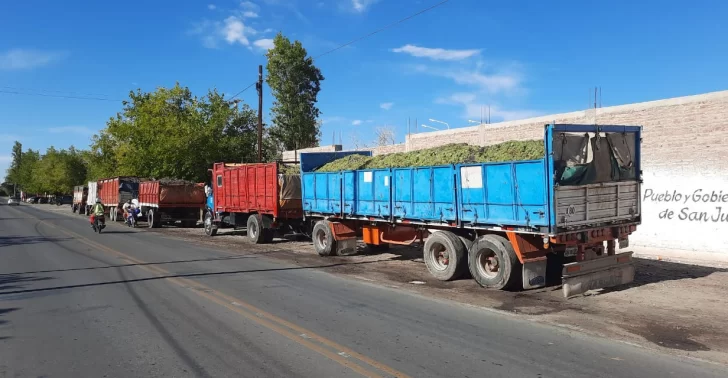 Las lluvias agudizaron la merma y pegó un salto el precio de la uva