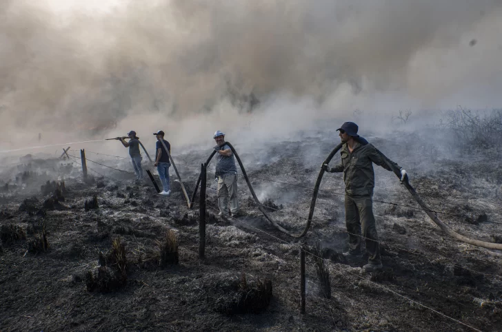 El fuego avanza en Corrientes y ya afecta al 9 por ciento de la provincia