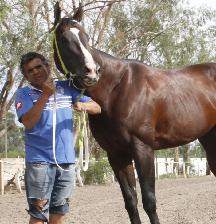 Gran expectativa por los caballos sanjuaninos