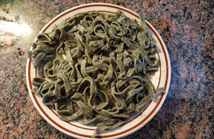 Impulsan producción de fideos con algas