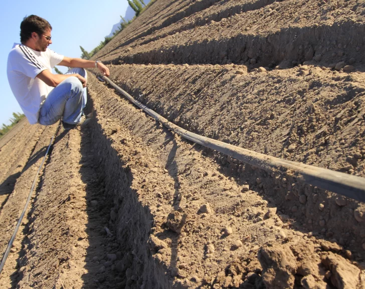 Entidades de productores piden al Gobierno flexibilizar los créditos para riego por goteo