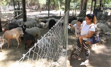 El Parque Faunístico está colapsado  y buscan canjear animales de granja