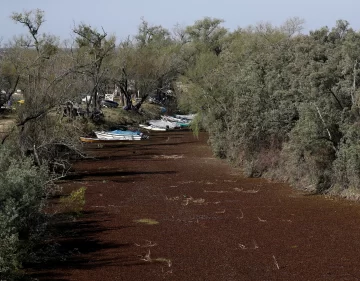 Piden ahorrar agua para consumo por la histórica bajante del Paraná