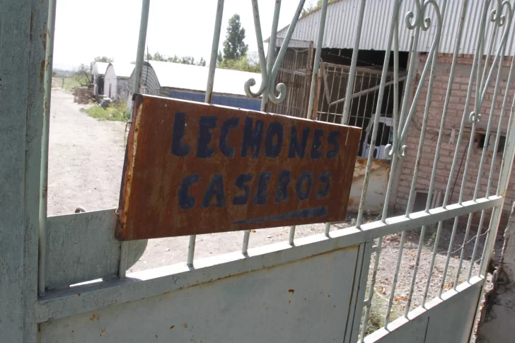 “Ya nos robaron como 10 veces y llevarse 10 lechones sin destetar, es hacer daño”