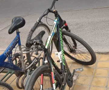 Roban bici frente a la Catedral